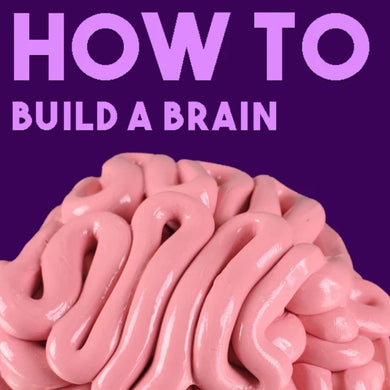 HOW TO: Build a Brain with Thinking Putty